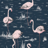 112/11041 - Flamingos