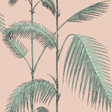 112/2005 - Palm Leaves 1