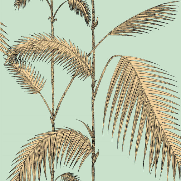 112/2006 - Palm Leaves 1