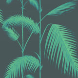 112/2007 - Palm Leaves 1