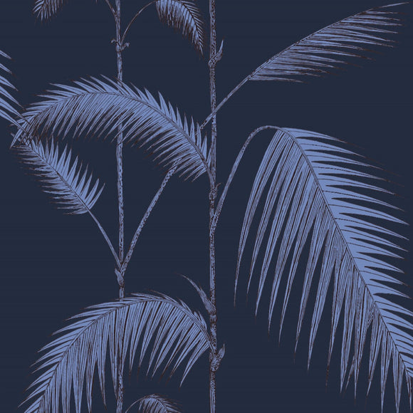112/2008 - Palm Leaves 1