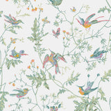 112/4016 - Hummingbirds 1