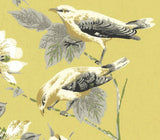 Rosemore Yellow Luxury Bird Wallpaper