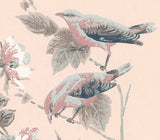 Rosemore Pink Luxury Bird Wallpaper