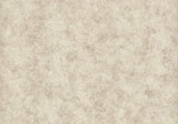 Fenton Taupe Neutral Luxury Plain Wallpaper - 1602-107-04