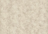 Fenton Taupe Neutral Luxury Plain Wallpaper - 1602-107-04