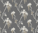 Leonora Grey Luxury Floral Wallpaper