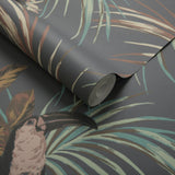 Le Toucan Charcoal Black Luxury Bird Wallpaper
