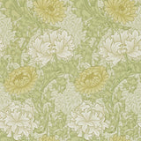 Chrysanthemum - 212545