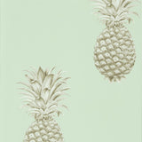 Pineapple Royale - 216325