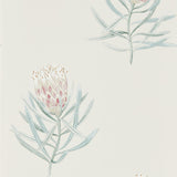 Protea Flower - 216330