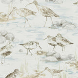 Estuary Birds - 216492