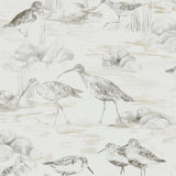 Estuary Birds - 216493