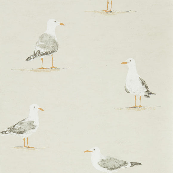 Shore Birds - 216563