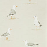 Shore Birds - 216563