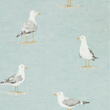 Shore Birds - 216564