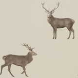 Evesham Deer - 216618