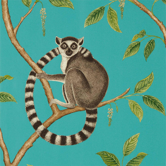 Ringtailed Lemur - 216663