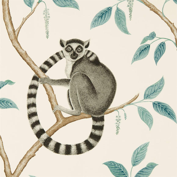 Ringtailed Lemur - 216665