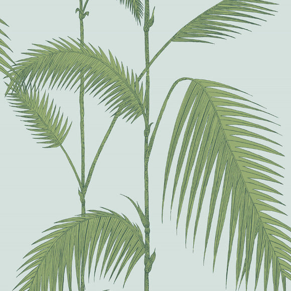 66/2010 - Palm Leaves 2
