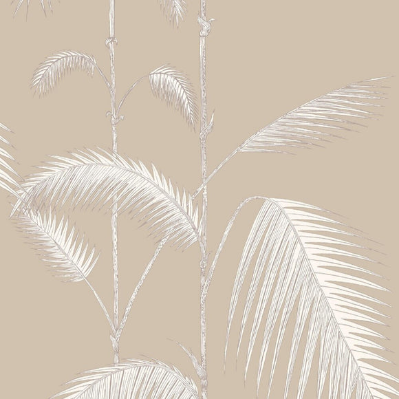 66/2013 - Palm Leaves