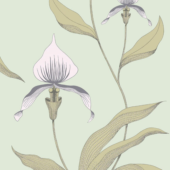 66/4028 - Orchid