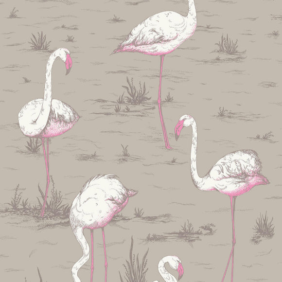 66/6042 - Flamingos 1