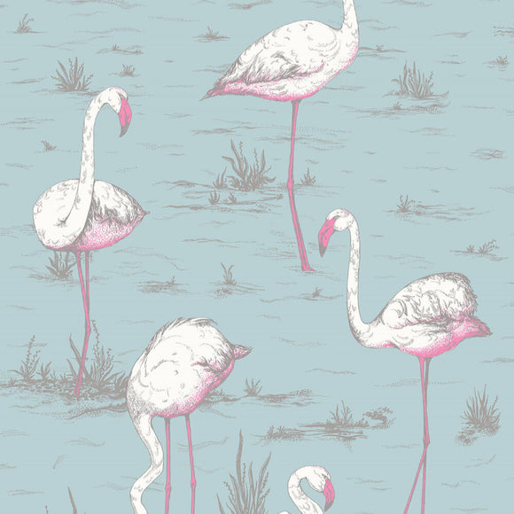 66/6044 - Flamingos 1