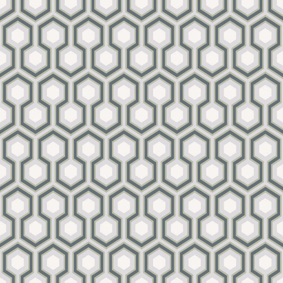 66/8055 - Hicks' Hexagon
