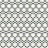66/8055 - Hicks' Hexagon
