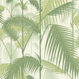 95/1001 - Palm Jungle 1