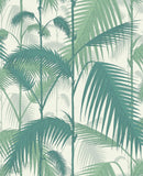 95/1002 - Palm Jungle