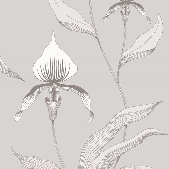 95/10055 - Orchid 1
