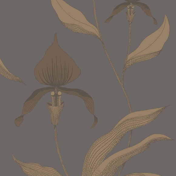 95/10056 - Orchid 2