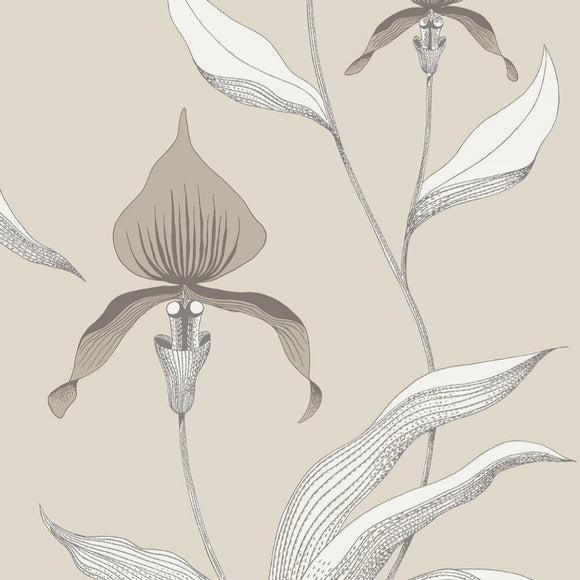 95/10058 - Orchid 1
