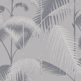 95/1007 - Palm Jungle 1