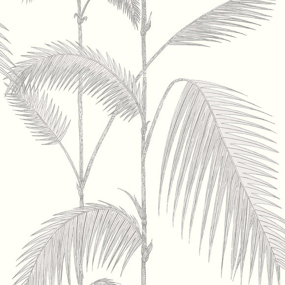 95/1008 - Palm Leaves