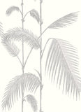 95/1008 - Palm Leaves