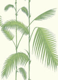 95/1009 - Palm Leaves