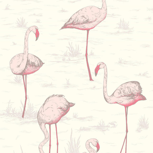 95/8045 - Flamingos 1