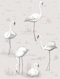95/8046 - Flamingos