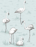 95/8047 - Flamingos
