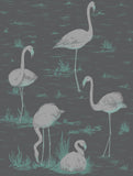 95/8048 - Flamingos
