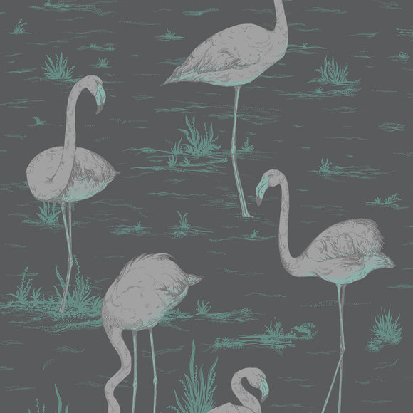 95/8048 - Flamingos