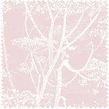 F111/5018 - Cow Parsley Linen