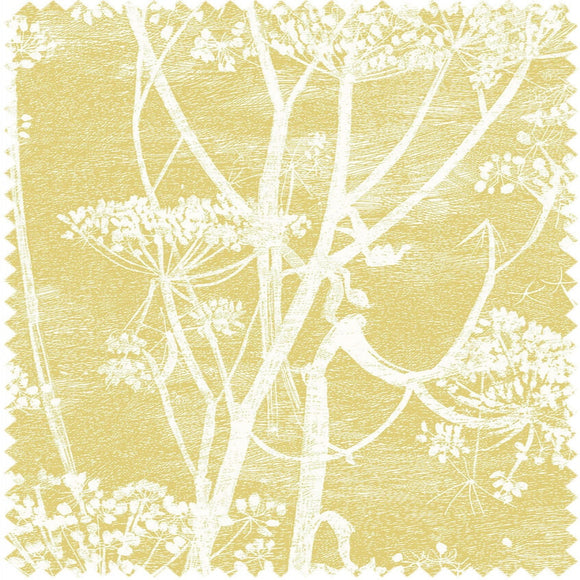 F111/5020 - Cow Parsley Linen