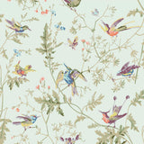 F62/1004 - Hummingbirds Cotton
