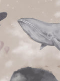 WHALES IN THE SKY b